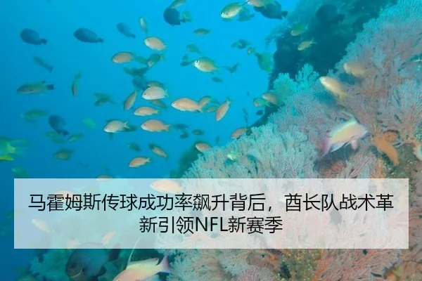 马霍姆斯传球成功率飙升背后，酋长队战术革新引领NFL新赛季